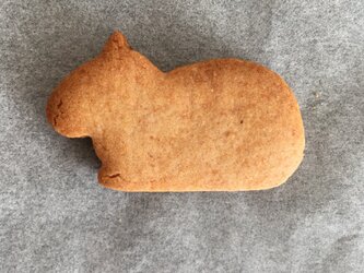 カピバラ　2　クッキー　型の画像