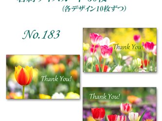 No.183  可愛いチューリップ     サイズサンキューカード   30枚の画像