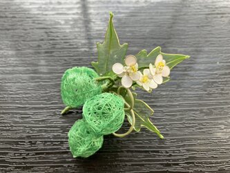 糸玉の風船カズラ（クリップ付きコサージュ）の画像