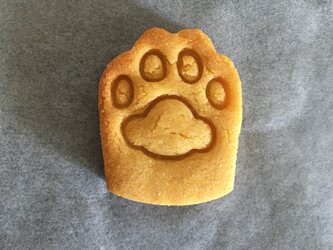 マスコット猫の手　クッキー　型の画像