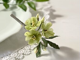 布花　黄緑色のウコン桜のコサージュ。の画像