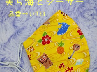 い733　美ら海とシーサー☆立体マスクの画像