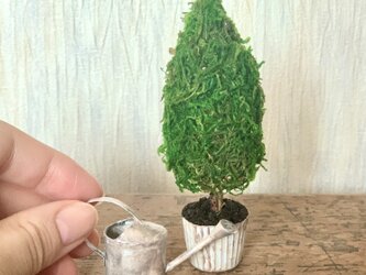 アンティークな観葉植物とジョウロのセット　ミニチュアの画像