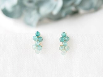Bleu de Cote d'Azurの画像