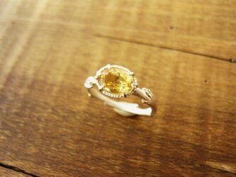 シトリンと植物の指輪Ⅱの画像