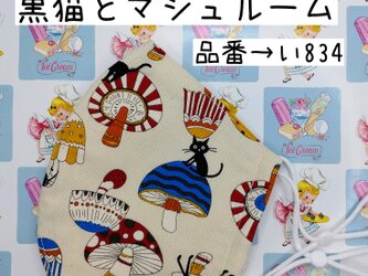 い834　黒猫とマシュルーム☆立体マスクの画像