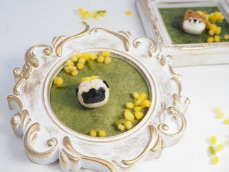 【受注製作】‐春限定‐ ミモザの花かんむりとまゆパグブローチ(フォーン・黒)羊毛フェルトの画像