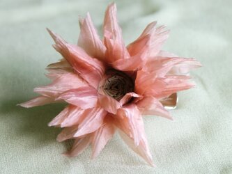 コサージュ桜染め（ブローチ、髪飾りとしても使用）の画像