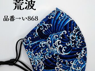 い868　荒波☆立体マスクの画像