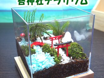 苔神社【苔テラリウム・手作りキット一式】キューブ型の画像