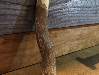 小さい山椒の木のすりこぎ棒  6の画像