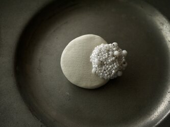 プチミニョンヌ　ラ　ブロシュ②の画像