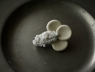 プチミニョンヌ　ラ　ブロシュ③の画像