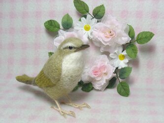 ほぼライフサイズ  ウグイス 鶯  野鳥  羊毛フェルト 工房小鳥屋さん リアル 羊毛ぬいぐるみ　受注作成　羊毛インコの画像