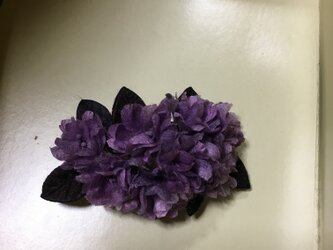 草木染まゆ花　八重桜パープルの画像