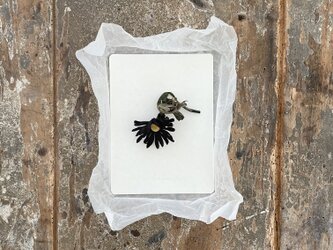 ー虫喰い黒花ーの画像