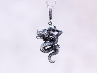 小さな龍/シルバーペンダント/silver925/40cmAJチェーンの画像