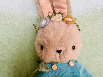 ケープの野うさぎさんの画像