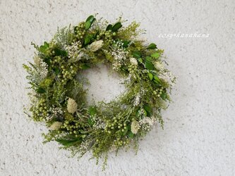 【母の日2023】新緑グリーンのwreathの画像