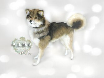 狼　狼犬　川上犬 全身可動 ウルフドッグ　羊毛フェルト　アートドールの画像