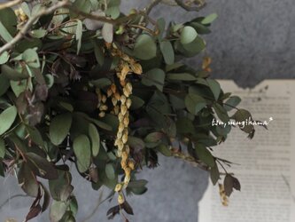 wreath [patina] №１　紅葉残るユーカリとアセビのフライングリース　ドライフラワーリースの画像