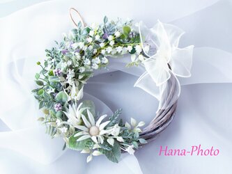 シルバーリーフと白い花（鈴蘭、フランネルフラワー、カスミ草）のお洒落リース(リース台：直径20㎝）　   (430)の画像