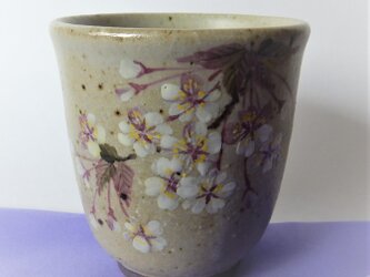 山桜図ゆのみの画像