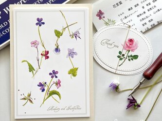 花言葉のカード　の画像