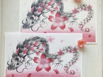 桜龍ポストカード2枚セットの画像