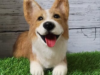 コーギ－   愛犬  うちの子 オーダー ペット ワンコ ぬいぐるみ 虹の橋 スマイル  羊毛フェルトの画像