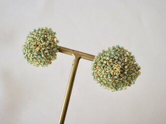 grass green lace flowersの画像