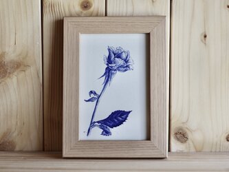 「バラ」原画の画像