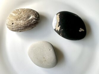 石ころの標本　3の画像
