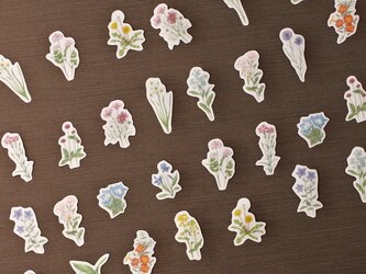 野の花のフレークシール〔マステ素材〕の画像