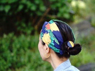 カチューム「菊」AIの画像