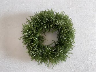 ☆再販☆　タチカズラと姫小判草（小）の画像
