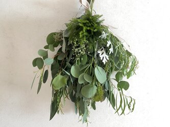 ユーカリの爽やかグリーンスワッグ（姫小判草）の画像