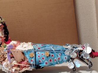 海どりの画像