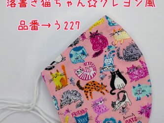 う227　落書き猫ちゃん♪クレヨン風☆立体マスクの画像