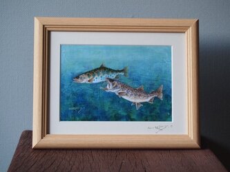 大塚浩司が販売する渓流魚絵画のハンドメイド・クラフト作品・手仕事品 