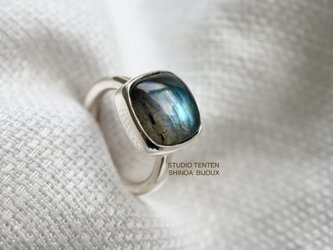 [アゲハ蝶のlabradorite]ring