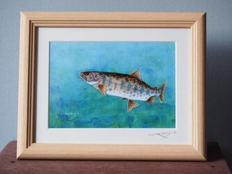 大塚浩司が販売する渓流魚絵画のハンドメイド・クラフト作品・手仕事品 