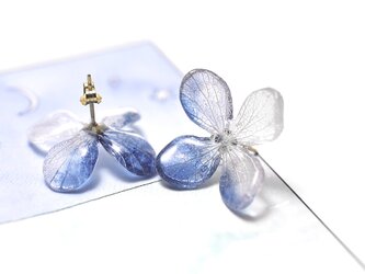 アジサイ【L/藍染】4枚花弁のピアス 14kgf /イヤリングの画像