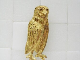 OWL  PINの画像