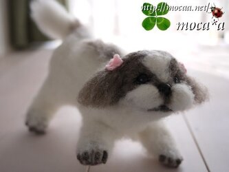シーズ【犬】貴方のペットのオリジナルぬいぐるみを作りますの画像