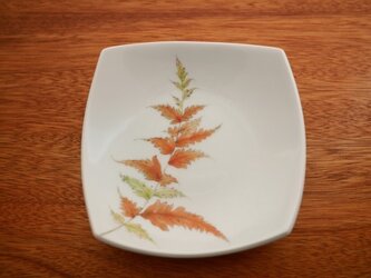 シダ 四角いうつわの画像