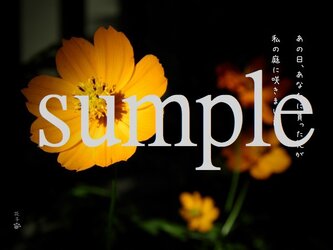 言葉*『あの日あなたに貰った花が私の庭に咲きました』2枚組みの画像