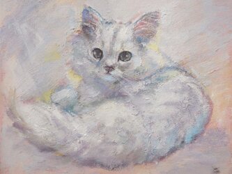 チンチラの子猫の画像