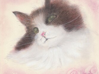 Chat et roseの画像