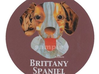 ブリタニー スパニエル《犬種名ステッカー/中型犬》の画像